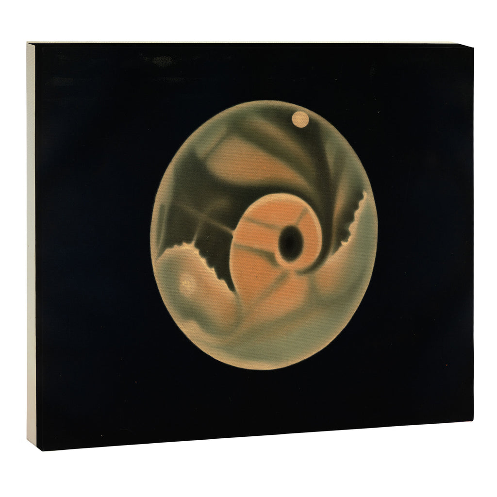 Mars by Étienne Léopold Trouvelot (1877) Canvas Print Gallery Image 12
