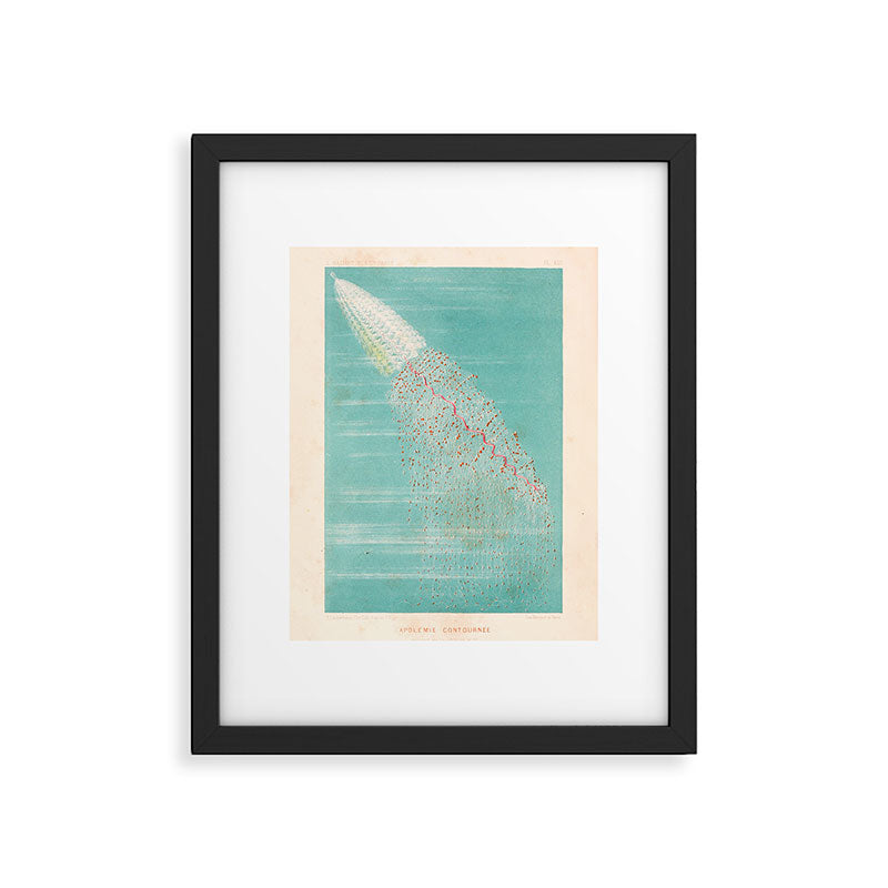 Medusa from "Le Monde de la Mer," 1866 (benefitting The Nature Conservancy) Framed Art Print Gallery Image 5
