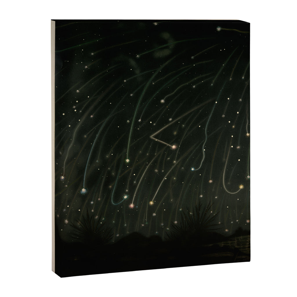 Meteor shower by Étienne Léopold Trouvelot (1868) Canvas Print Gallery Image 6