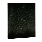 Meteor shower by Étienne Léopold Trouvelot (1868) Canvas Print Gallery Image 6