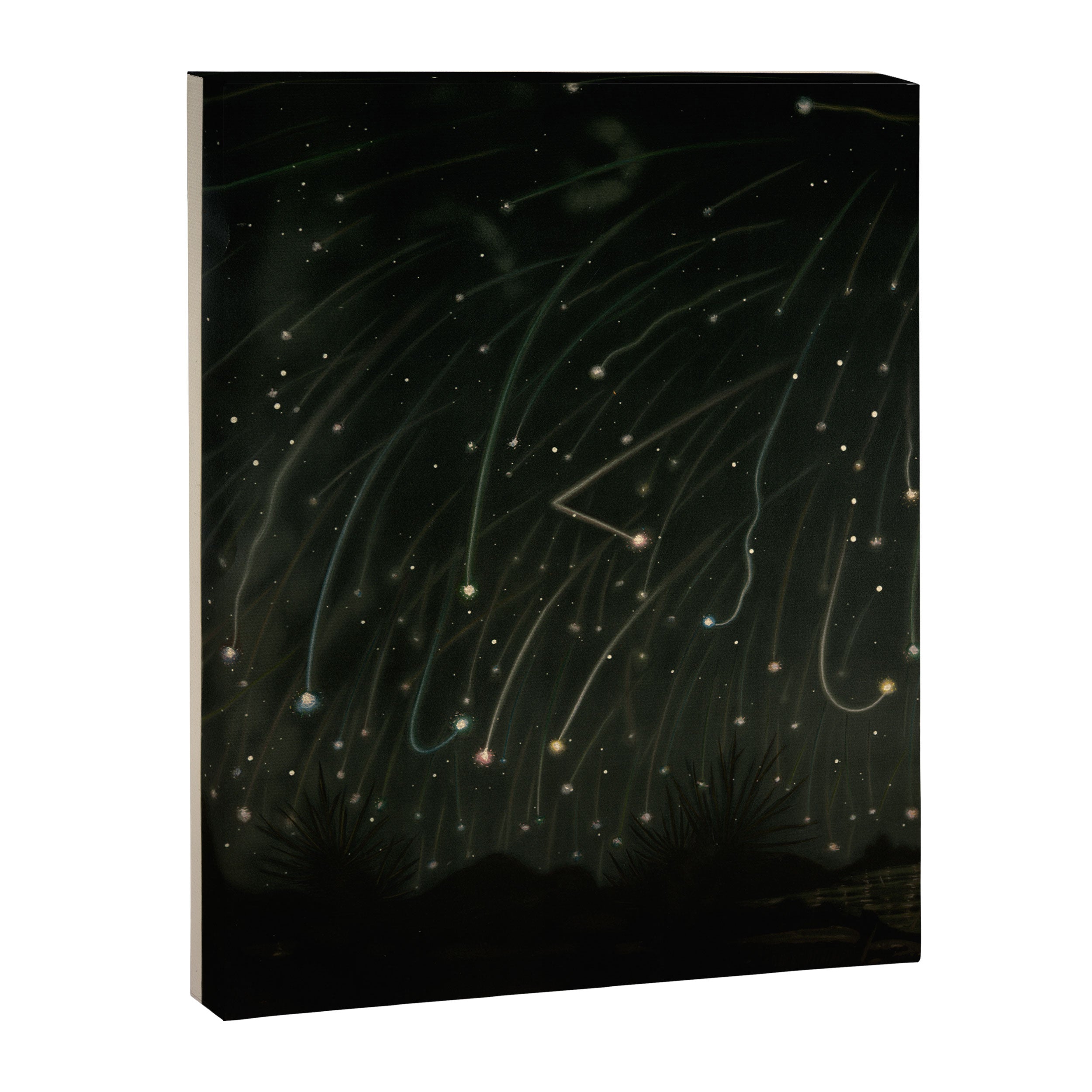 Meteor shower by Étienne Léopold Trouvelot (1868) Canvas Print Gallery Image 6