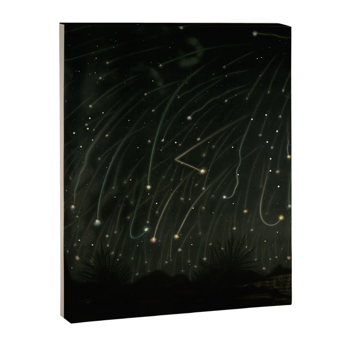 Meteor shower by Étienne Léopold Trouvelot (1868) Canvas Print Gallery Image 1