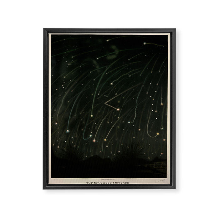 Meteor shower by Étienne Léopold Trouvelot (1868) Framed Canvas Print Gallery Image 1