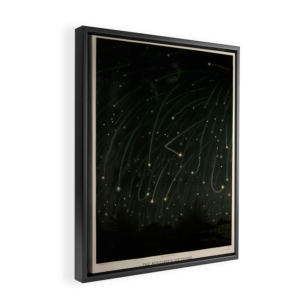 Meteor shower by Étienne Léopold Trouvelot (1868) Framed Canvas Print Gallery Image 2