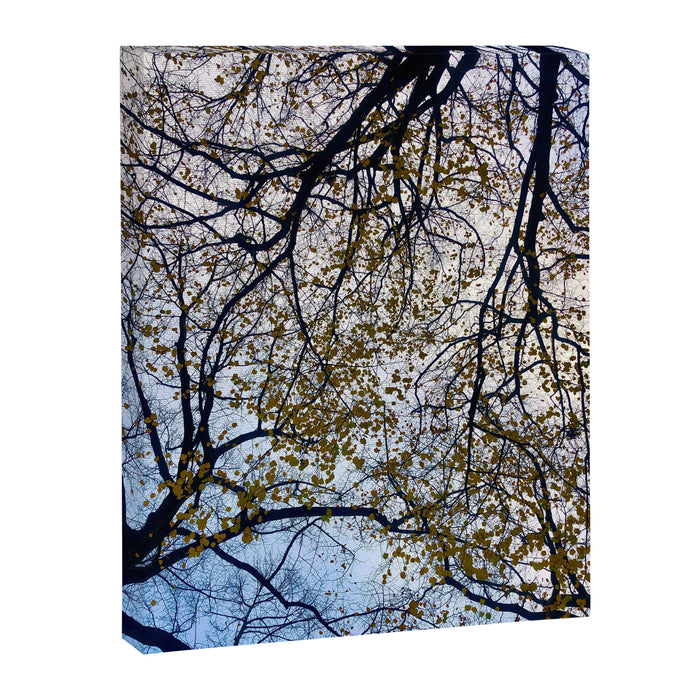 Milky Way of Wood Canvas Print Gallery Image 1