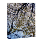 Milky Way of Wood Canvas Print Gallery Image 6