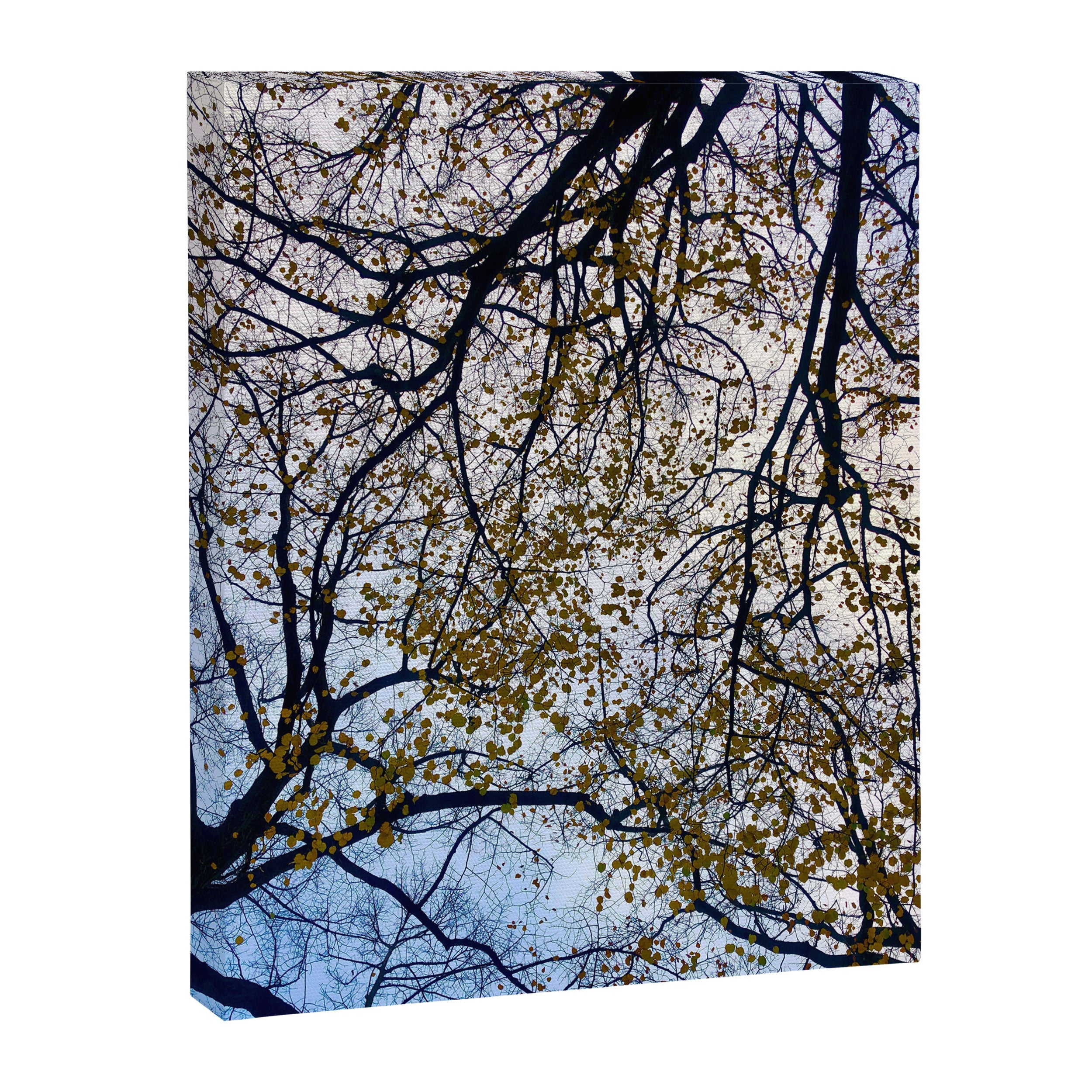 Milky Way of Wood Canvas Print Gallery Image 6