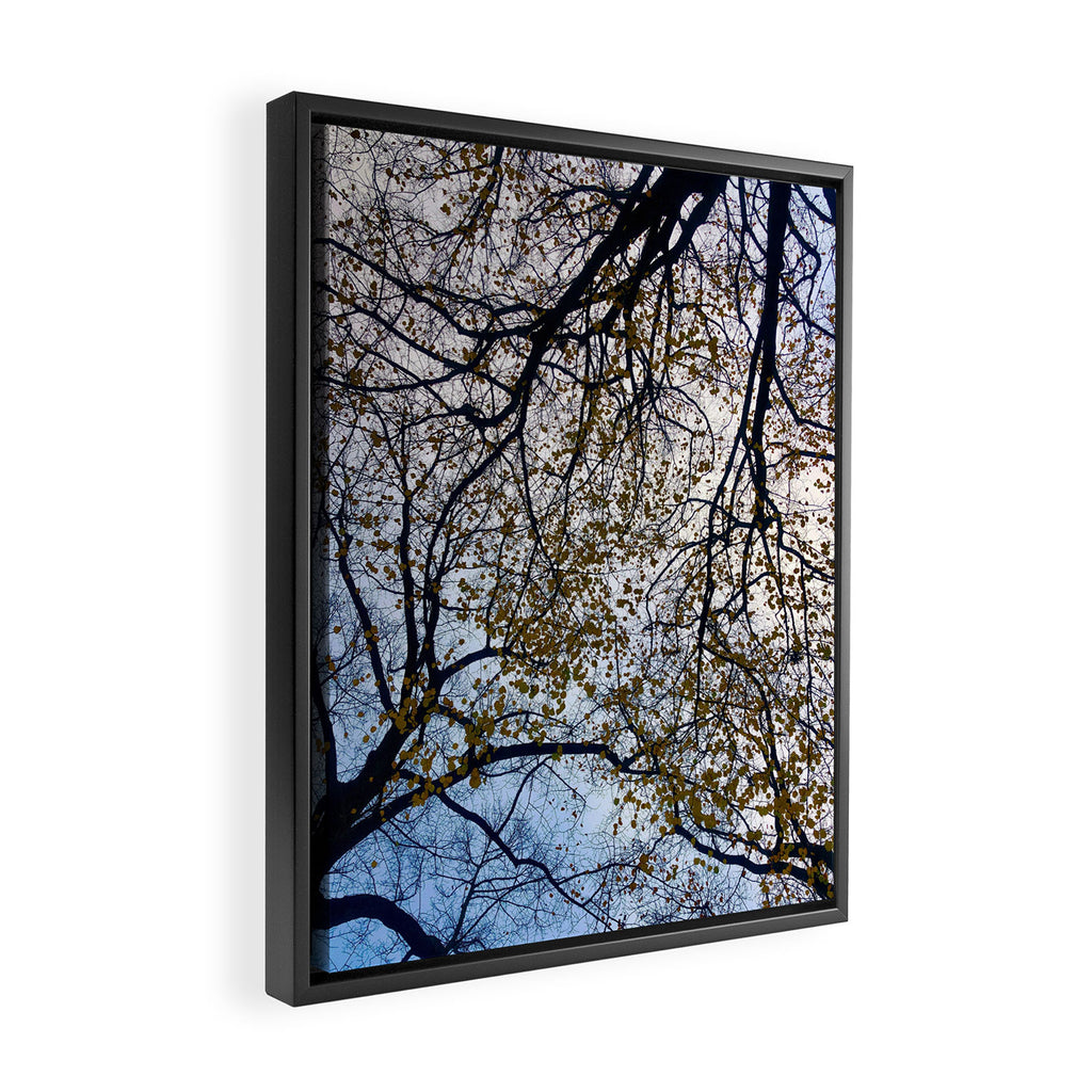 Milky Way of Wood Framed Canvas Print Gallery Image 2