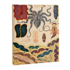 Molluscs from âThe Great Barrier Reef of Australiaâ by William Saville Kent, 1893 Canvas Print Gallery Image 6