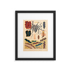 Molluscs from âThe Great Barrier Reef of Australiaâ by William Saville Kent, 1893 Framed Art Print Gallery Image 5