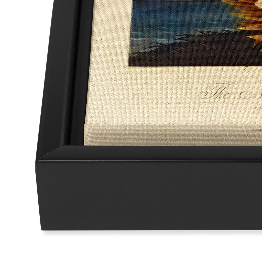Night-Blooming Cereus from "The Temple of Flora," 1812 (benefitting The Nature Conservancy) Framed Canvas Print Gallery Image 3