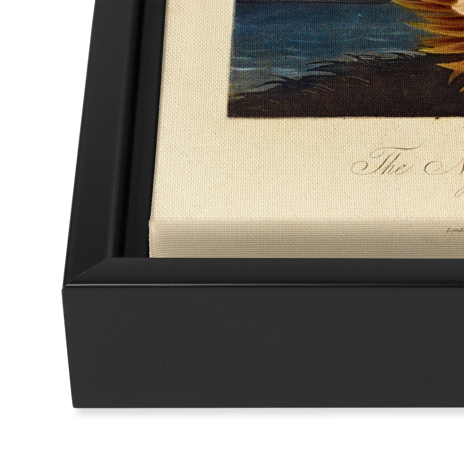 Night-Blooming Cereus from "The Temple of Flora," 1812 (benefitting The Nature Conservancy) Framed Canvas Print Gallery Image 3