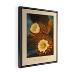 Night-Blooming Cereus from "The Temple of Flora," 1812 (benefitting The Nature Conservancy) Framed Canvas Print Gallery Image 2