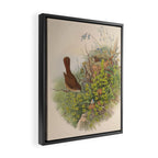 Nightingale from "The Birds of Great Britain," 1873 Framed Canvas Print Gallery Image 2