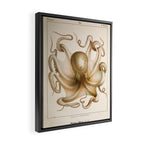 Octopus from "Mollusques Méditeranéens" by Jean Baptiste Vérany, 1851 Framed Canvas Print Gallery Image 2