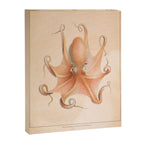 Octopus from "Mollusques Méditeranéens" by Jean Baptiste Vérany, 1851 Canvas Print Gallery Image 6