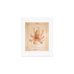 Octopus from "Mollusques Méditeranéens" by Jean Baptiste Vérany, 1851 Art Print Gallery Image 1
