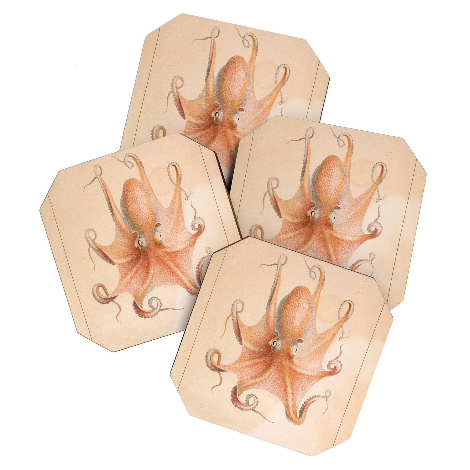 Octopus from "Mollusques Méditeranéens" by Jean Baptiste Vérany, 1851 Coaster Gallery Image 1
