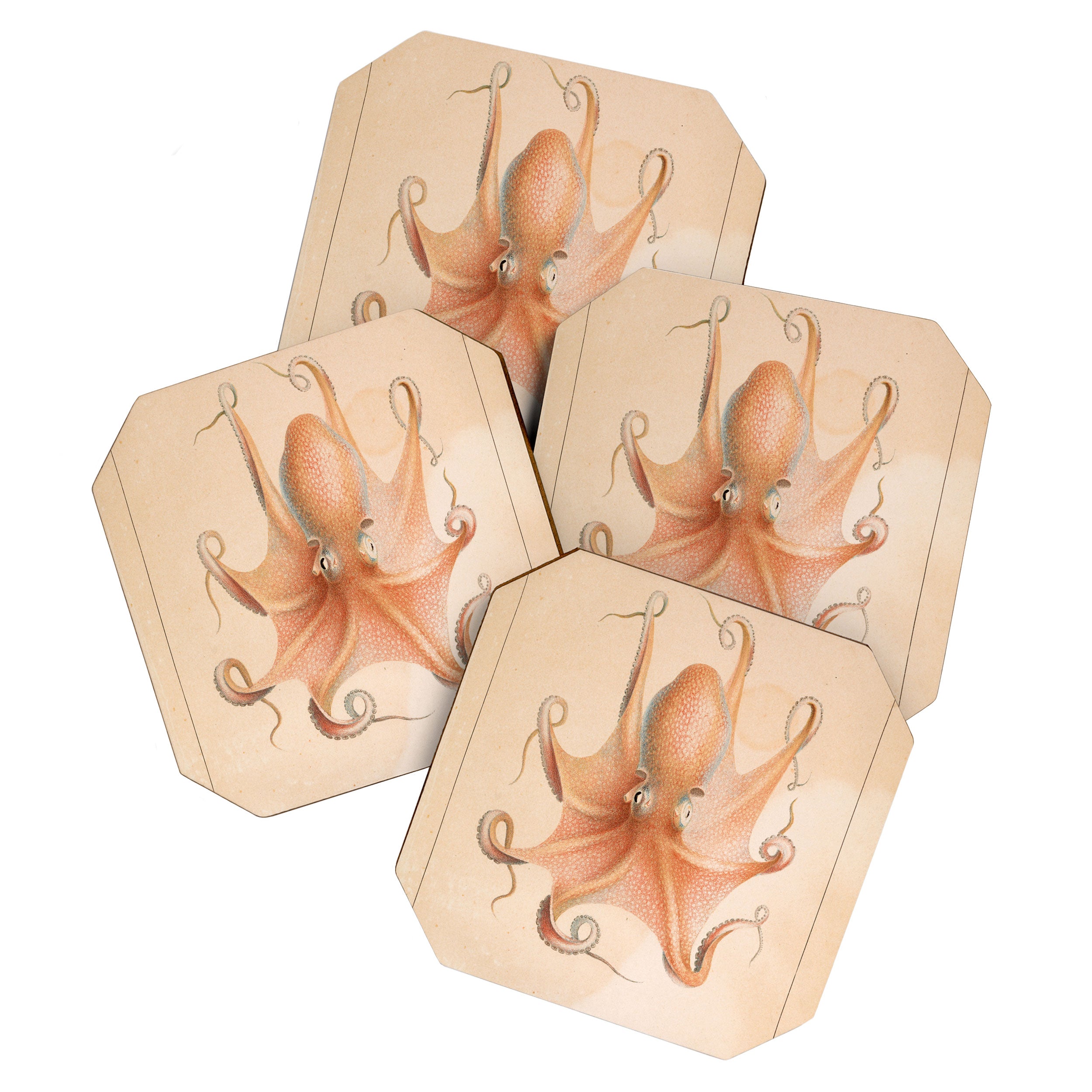 Octopus from "Mollusques Méditeranéens" by Jean Baptiste Vérany, 1851 Coaster Gallery Image 1