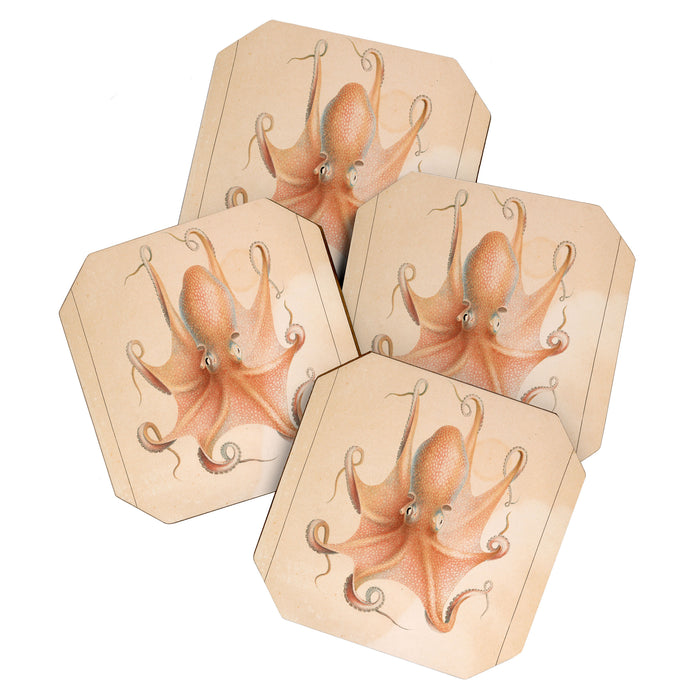 Octopus from "Mollusques Méditeranéens" by Jean Baptiste Vérany, 1851 Coaster Gallery Image 1