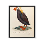 Ornithological illustration from "La Galerie de Oiseaux" ("Bird Gallery"), 1825 Framed Canvas Print Gallery Image 6