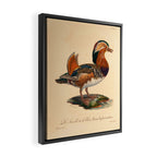 Ornithological illustration from "La Galerie de Oiseaux" ("Bird Gallery"), 1825 Framed Canvas Print Gallery Image 2