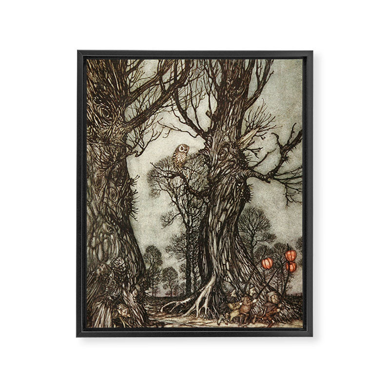 Owl by Arthur Rackham from "PeterPan in Kensington Gardens," 1906 Framed Canvas Print Gallery Image 6