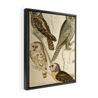 Owls from The Edinburgh Journal, 1835 (benefitting The Nature Conservancy) Framed Canvas Print Gallery Image 2