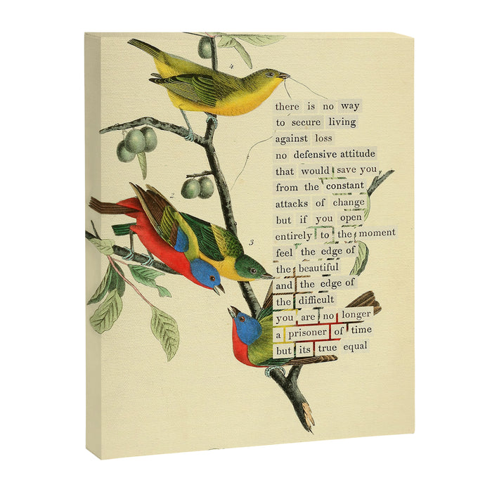 Painted Bunting from 'An Almanac of Birds - Divinations for Uncertain Days' (almanacofbirds.org) Canvas Print Gallery Image 1