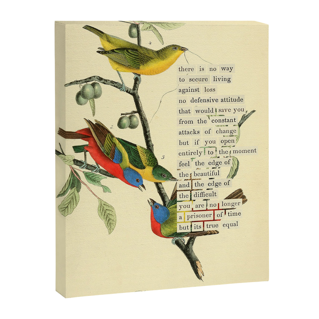 Painted Bunting from 'An Almanac of Birds - Divinations for Uncertain Days' (almanacofbirds.org) Canvas Print Gallery Image 6