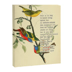 Painted Bunting from 'An Almanac of Birds - Divinations for Uncertain Days' (almanacofbirds.org) Canvas Print Gallery Image 6