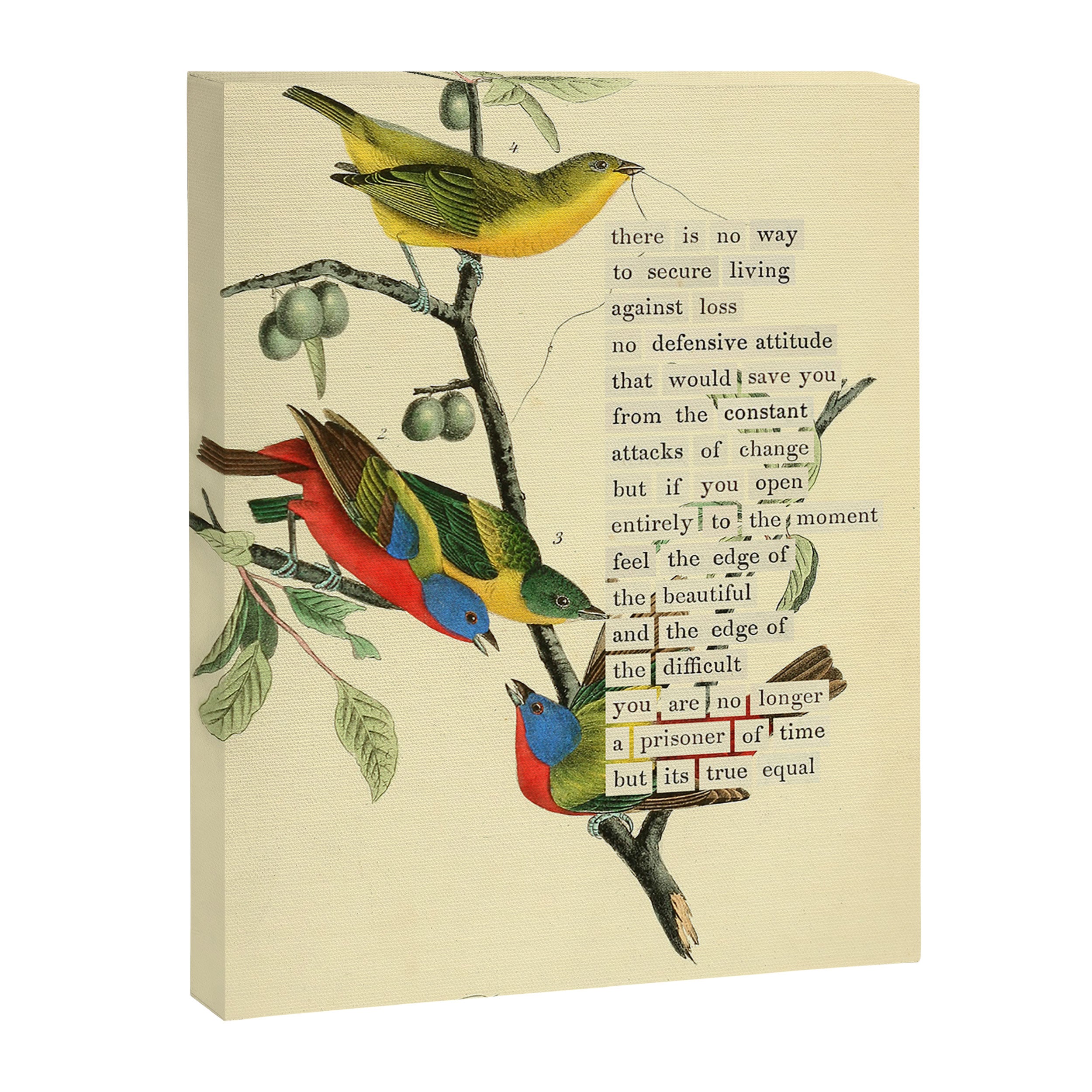 Painted Bunting from 'An Almanac of Birds - Divinations for Uncertain Days' (almanacofbirds.org) Canvas Print Gallery Image 6