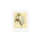 Painted Bunting from 'An Almanac of Birds - Divinations for Uncertain Days' (almanacofbirds.org) Art Print Gallery Image 1