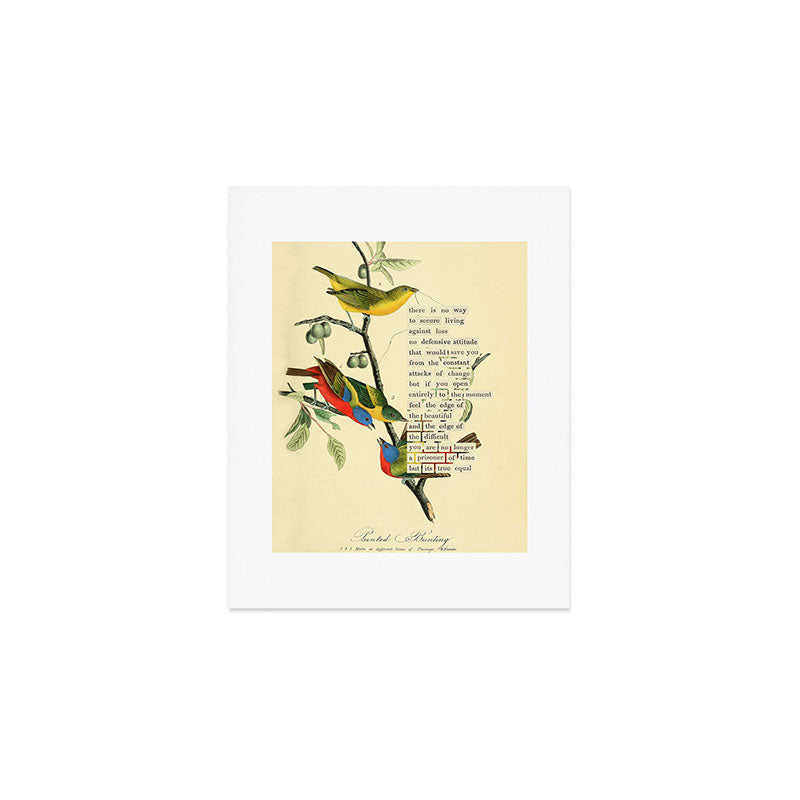 Painted Bunting from 'An Almanac of Birds - Divinations for Uncertain Days' (almanacofbirds.org) Art Print Gallery Image 1