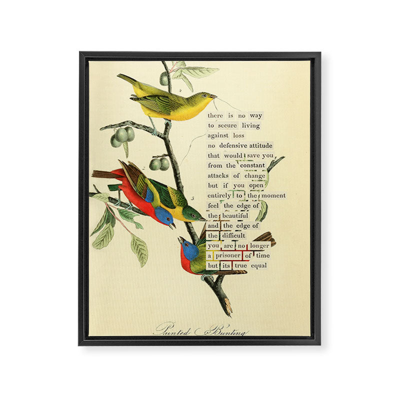 Painted Bunting from 'An Almanac of Birds - Divinations for Uncertain Days' (almanacofbirds.org) Framed Canvas Print Gallery Image 6