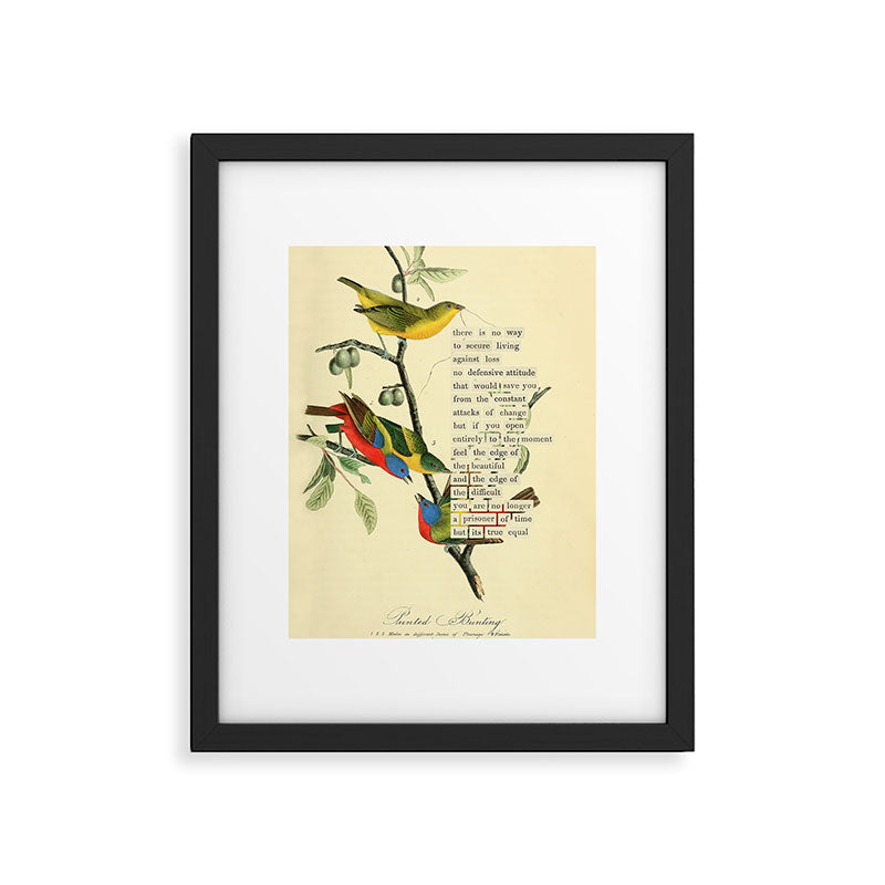 Painted Bunting from 'An Almanac of Birds - Divinations for Uncertain Days' (almanacofbirds.org) Framed Art Print Gallery Image 5