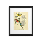 Painted Bunting from 'An Almanac of Birds - Divinations for Uncertain Days' (almanacofbirds.org) Framed Art Print Gallery Image 5