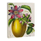 Passionflower and passionfruit from "Flore dâAmÃ©rique" by Ãtienne Denisse, 1840s Canvas Print Gallery Image 6