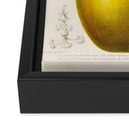 Passionflower and passionfruit from "Flore dâAmÃ©rique" by Ãtienne Denisse, 1840s Framed Canvas Print Gallery Image 3