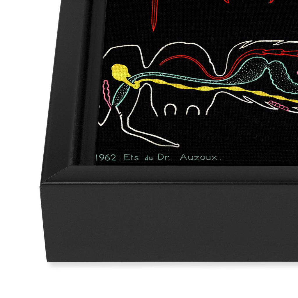 Paul Sougy: The Bee, 1962 (proceeds benefit The Nature Conservancy) Framed Canvas Print Gallery Image 3