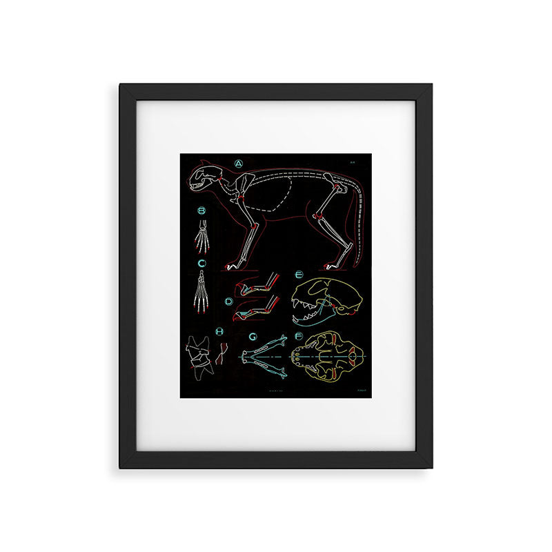 Paul Sougy: The Cat, 1950s (proceeds benefit The Nature Conservancy) Framed Art Print Gallery Image 5