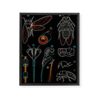 Paul Sougy: The Cicada, 1960 (proceeds benefit The Nature Conservancy) Framed Canvas Print Gallery Image 6