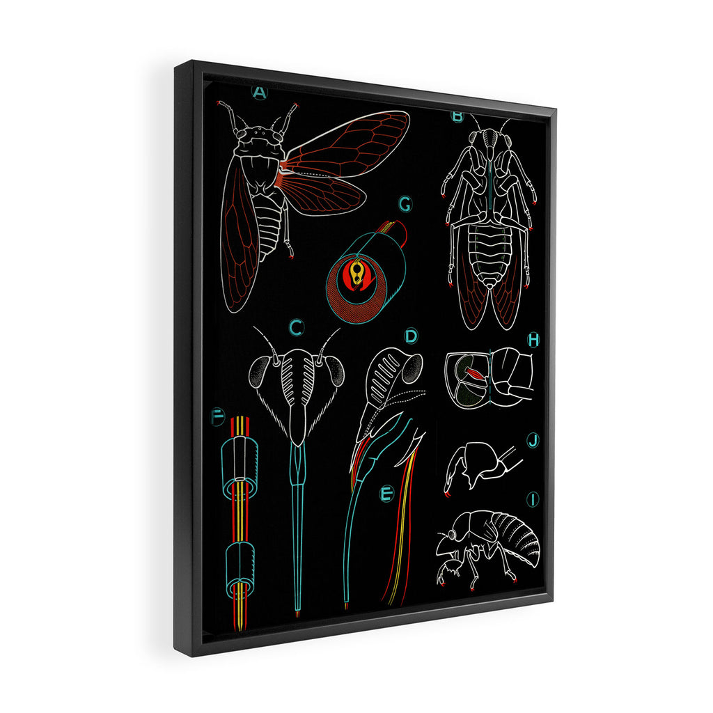 Paul Sougy: The Cicada, 1960 (proceeds benefit The Nature Conservancy) Framed Canvas Print Gallery Image 2
