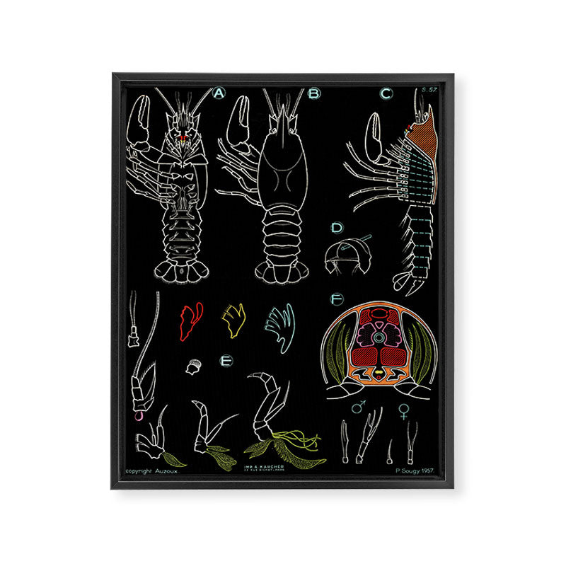 Paul Sougy: The Crayfish, 1957 (proceeds benefit The Nature Conservancy) Framed Canvas Print Gallery Image 6