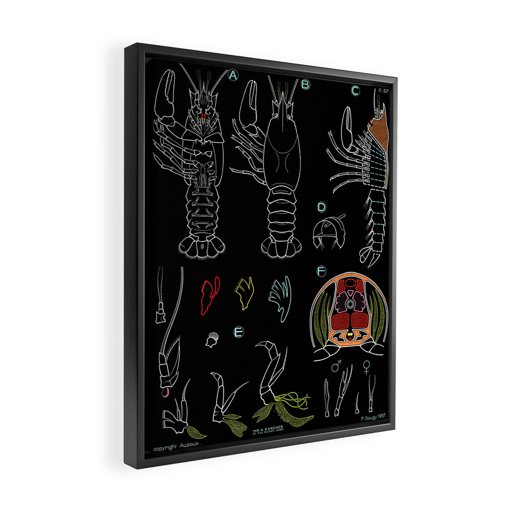 Paul Sougy: The Crayfish, 1957 (proceeds benefit The Nature Conservancy) Framed Canvas Print Gallery Image 2