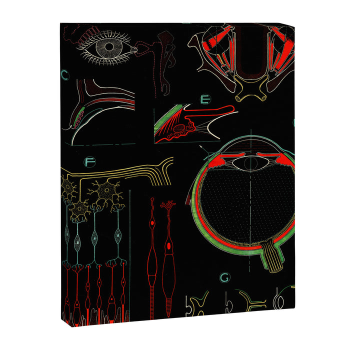 Paul Sougy: The Human Eye, 1954 (proceeds benefit The Nature Conservancy) Canvas Print Gallery Image 1