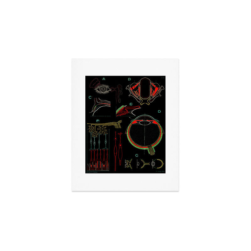 Paul Sougy: The Human Eye, 1954 (proceeds benefit The Nature Conservancy) Art Print Gallery Image 1