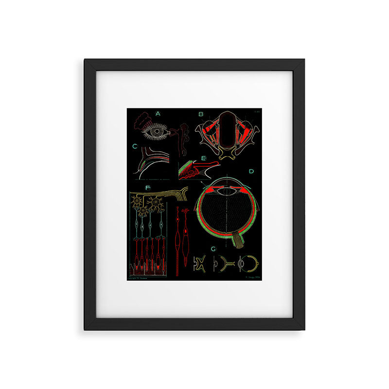 Paul Sougy: The Human Eye, 1954 (proceeds benefit The Nature Conservancy) Framed Art Print Gallery Image 5