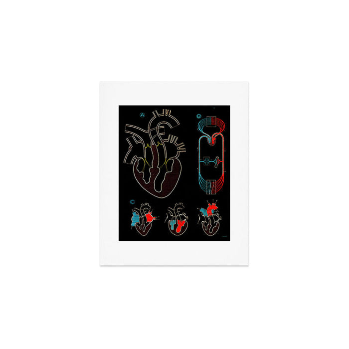 Paul Sougy: The Human Heart, 1950s (proceeds benefit The Nature Conservancy) Art Print Gallery Image 1