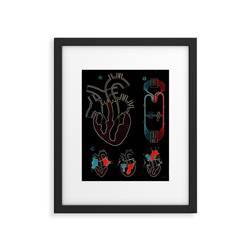 Paul Sougy: The Human Heart, 1950s (proceeds benefit The Nature Conservancy) Framed Art Print Gallery Image 5